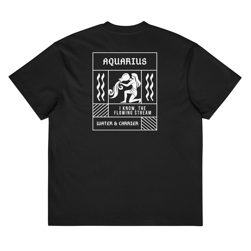 AQUARIUS - VISION & CHANGE